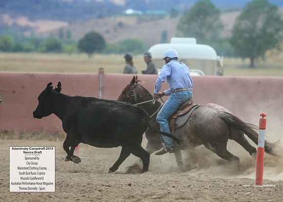 AdaminabyCampdraft2019_5315