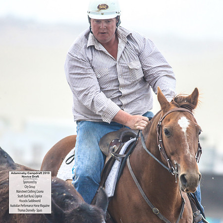 AdaminabyCampdraft2019_5332