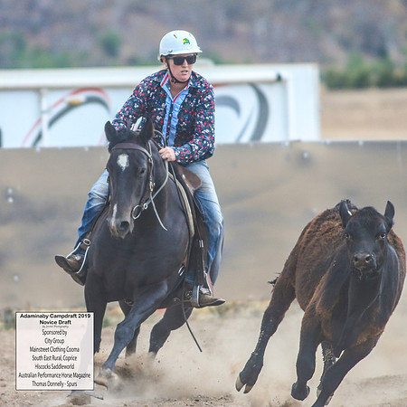 AdaminabyCampdraft2019_5680