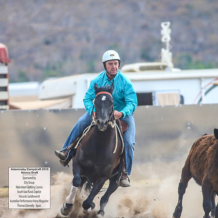 AdaminabyCampdraft2019_5847