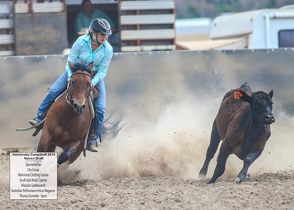 AdaminabyCampdraft2019_5468