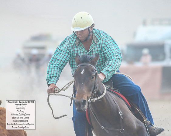 AdaminabyCampdraft2019_5973