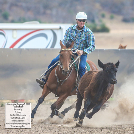 AdaminabyCampdraft2019_5184
