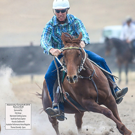 AdaminabyCampdraft2019_5762