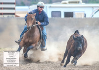 AdaminabyCampdraft2019_5071