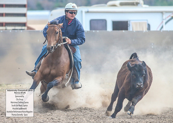 AdaminabyCampdraft2019_5071