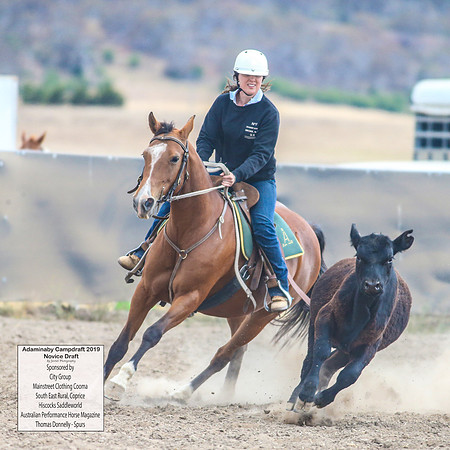 AdaminabyCampdraft2019_5402