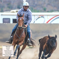 AdaminabyCampdraft2019_5096