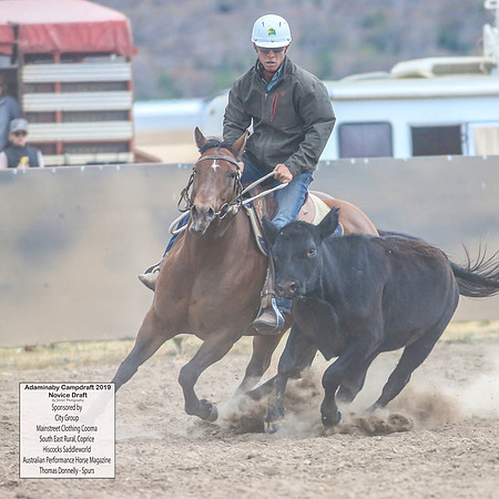 AdaminabyCampdraft2019_5767