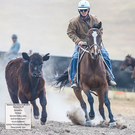 AdaminabyCampdraft2019_5130