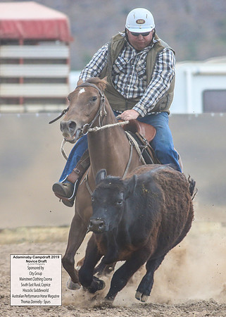 AdaminabyCampdraft2019_5415