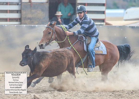 AdaminabyCampdraft2019_5455