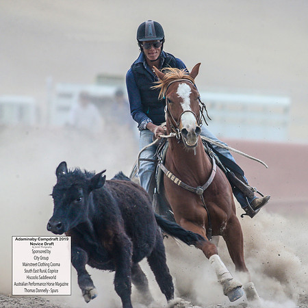 AdaminabyCampdraft2019_5398