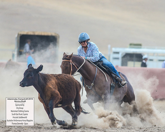 AdaminabyCampdraft2019_5515