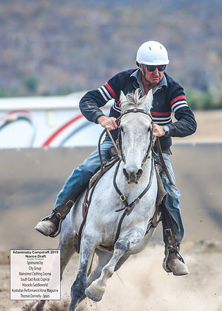 AdaminabyCampdraft2019_5869