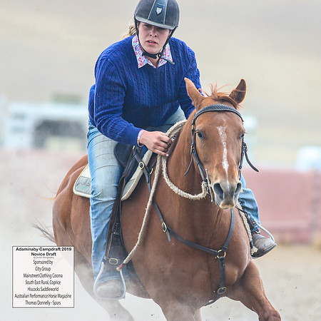 AdaminabyCampdraft2019_5450