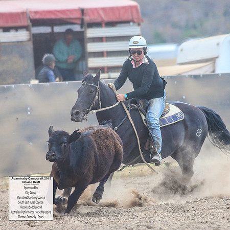 AdaminabyCampdraft2019_5493