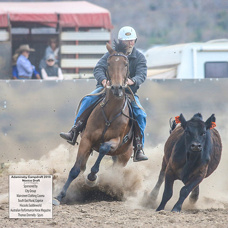 AdaminabyCampdraft2019_5904