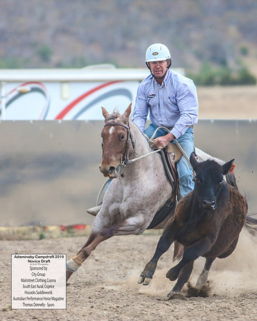 AdaminabyCampdraft2019_5728