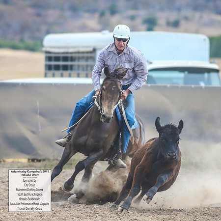 AdaminabyCampdraft2019_5243