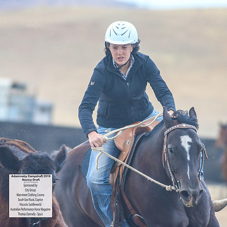 AdaminabyCampdraft2019_5036