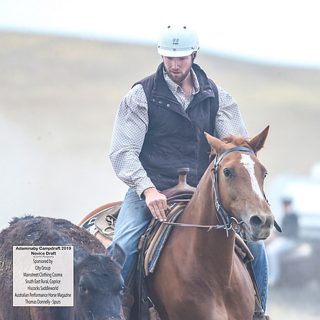 AdaminabyCampdraft2019_5277