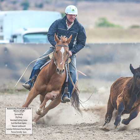 AdaminabyCampdraft2019_5196