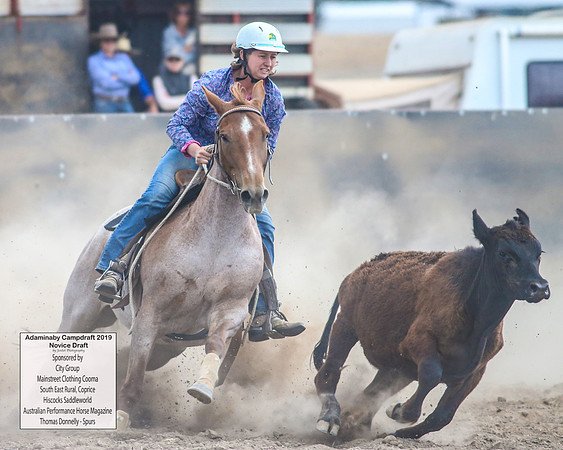 AdaminabyCampdraft2019_5940