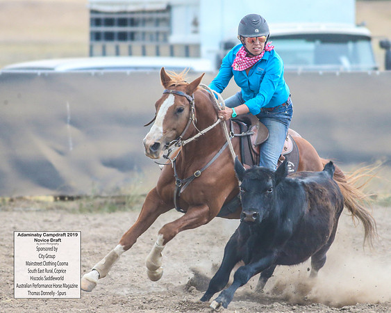 AdaminabyCampdraft2019_5925