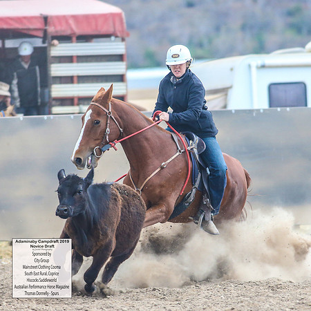 AdaminabyCampdraft2019_5391