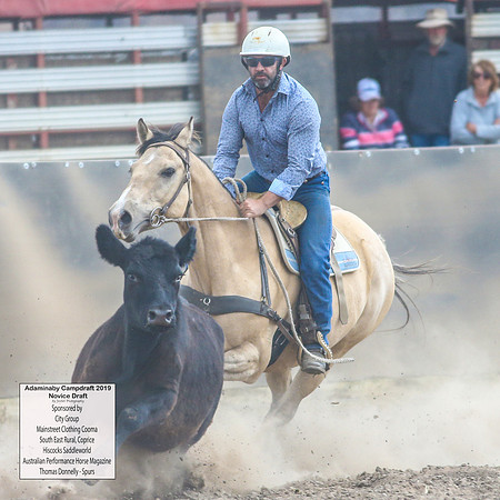 AdaminabyCampdraft2019_5139