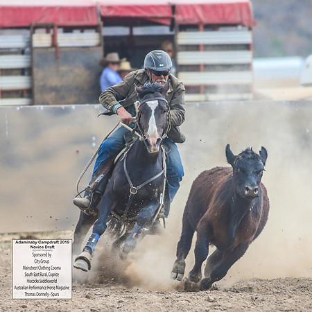 AdaminabyCampdraft2019_5838