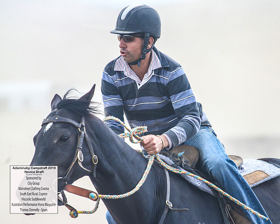 AdaminabyCampdraft2019_5715