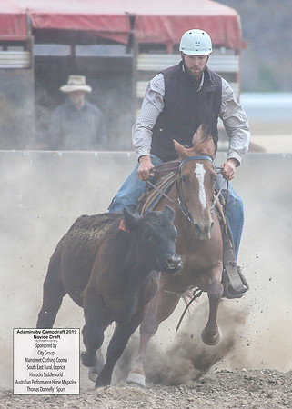 AdaminabyCampdraft2019_5263