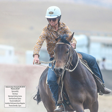 AdaminabyCampdraft2019_5439