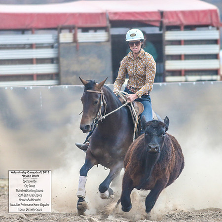 AdaminabyCampdraft2019_5438