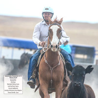 AdaminabyCampdraft2019_5154