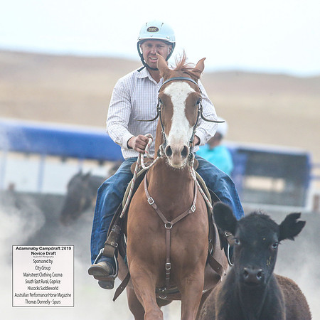 AdaminabyCampdraft2019_5154