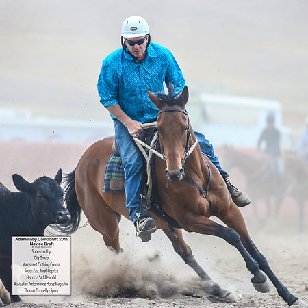 AdaminabyCampdraft2019_5164