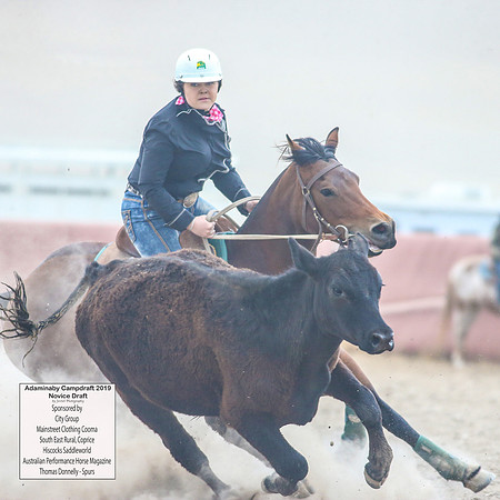 AdaminabyCampdraft2019_5809