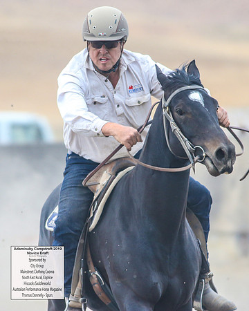 AdaminabyCampdraft2019_5583
