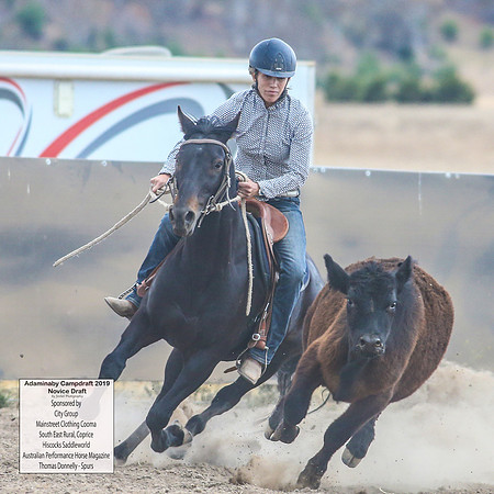 AdaminabyCampdraft2019_5786