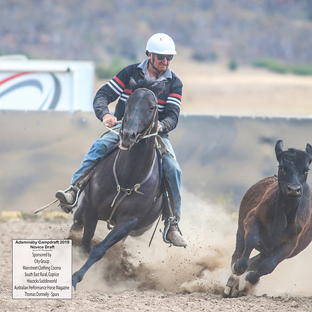 AdaminabyCampdraft2019_5223