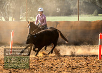 IllaboCampdraft1_2458
