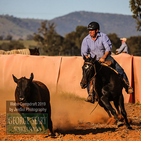 IllaboCampdraft1_2591