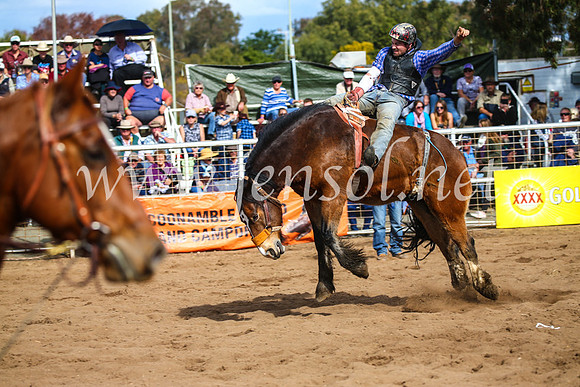 CoonambleRodeoCampdraftSun_3370