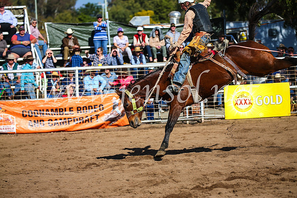 CoonambleRodeoCampdraftSun_3244
