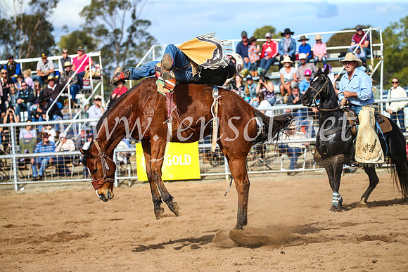 CoonambleRodeoCampdraftSun_3440