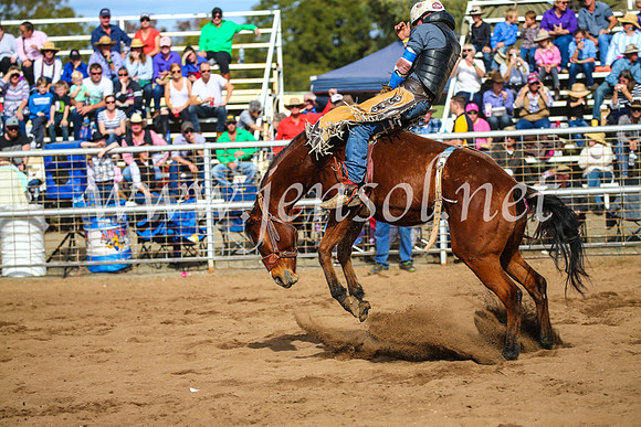 CoonambleRodeoCampdraftSun_3393