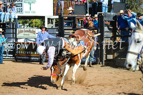 CoonambleRodeoCampdraftSun_2569